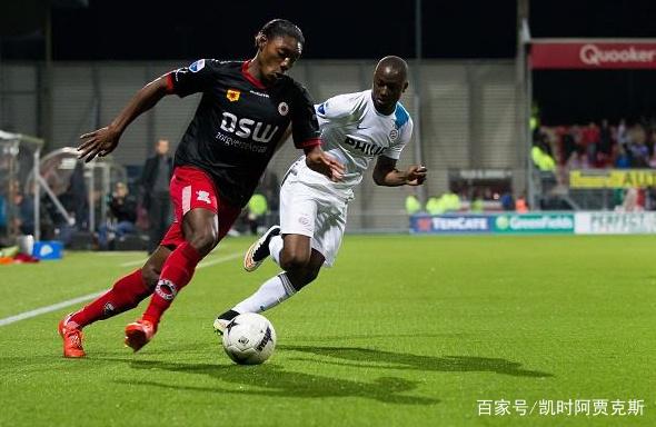 型向高效科 型向高效科