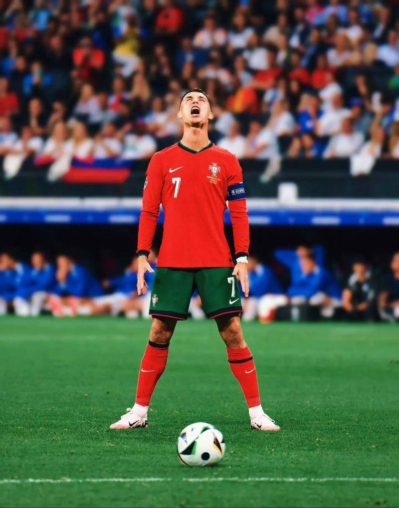 五位一体新 五位一体新